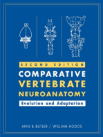 Comparative Vertebrate Neuroanatomy: Evolution and Adaptation