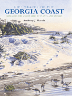 Life Traces of the Georgia Coast