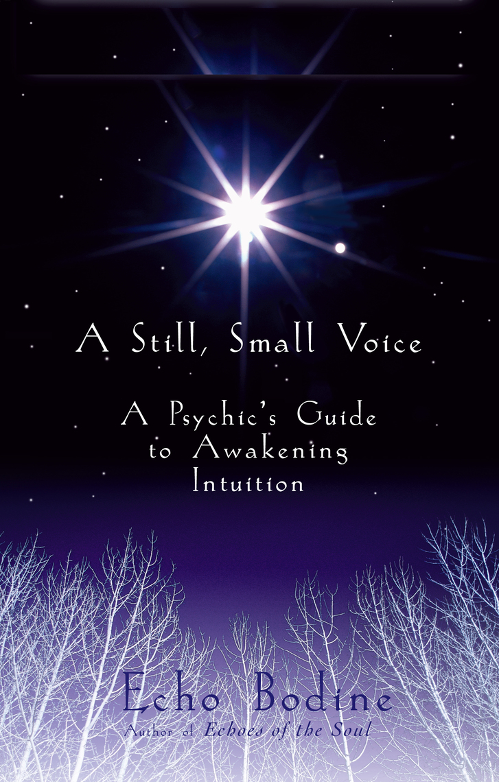 A Still, Small Voice by Echo Bodine Book Read Online