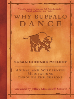 Why Buffalo Dance: Animal and Wilderness Meditations Through the Seasons