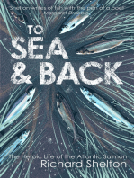 To Sea & Back