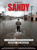 Sandy: A Story of Complete Devastation, Courage, and Recovery