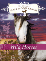 Wild Horses