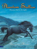 Phantom Stallion #2
