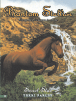 Phantom Stallion #19