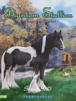 Phantom Stallion #23