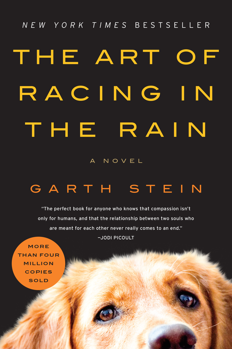 the art of racing in the rain essay questions
