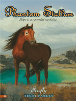Phantom Stallion #18