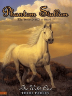 Phantom Stallion #1: The Wild One