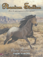 Phantom Stallion #21: Dawn Runner