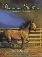 Phantom Stallion #3: Dark Sunshine