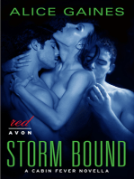 Storm Bound
