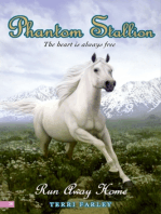 Phantom Stallion #24