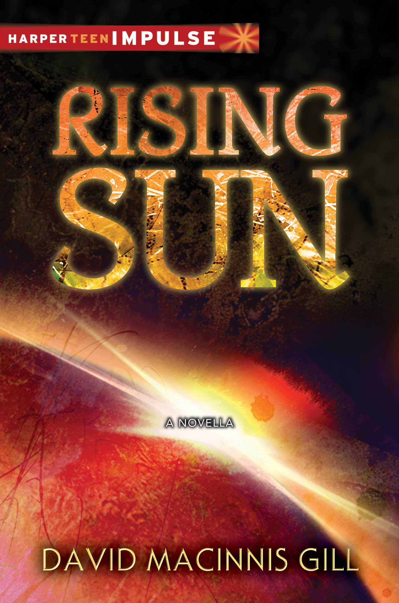 Read Rising Sun Online by David Macinnis Gill Books