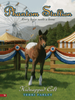 Phantom Stallion #15: Kidnapped Colt
