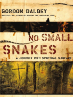 No Small Snakes: A Journey Into Spiritual Warfare