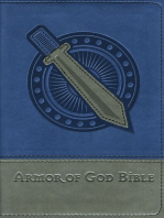 NIV, Armor of God Bible