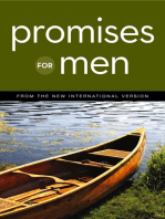 NIV, Promises for Men