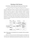 Physiology of Salt Tolerance/Ashwani Kumar, Anshuman Singh, Jogendra Singh, Pooja and Vijayata Singh