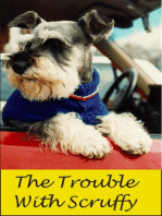 The Trouble With Scruffy