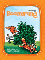 Boomerang