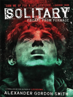 Solitary: Escape from Furnace 2