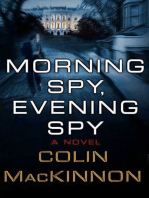 Morning Spy, Evening Spy: A Novel