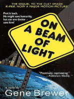 On a Beam of Light: A Novel