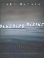 Bluebird Rising