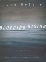 Bluebird Rising: A Mystery