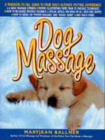 Dog Massage: A Whiskers-to-Tail Guide to Your Dog's Ultimate Petting Experience