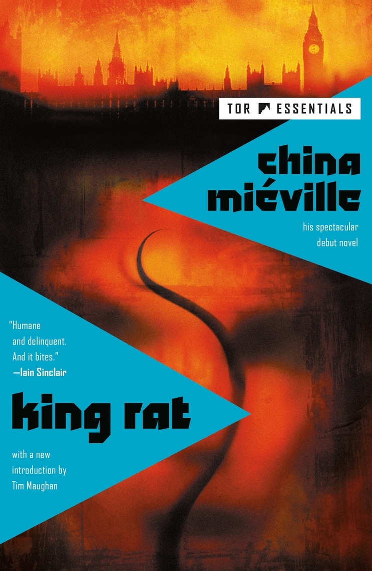 Essay On Rat King