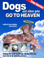 Dogs and Other Pets Go To Heaven