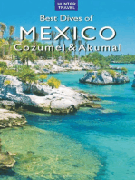 Best Dives of Mexico: Cozumel & Akumal