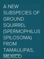 A New Subspecies of Ground Squirrel (Spermophilus spilosoma) from Tamaulipas, Mexico