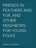 Friends in Feathers and Fur, and Other Neighbors