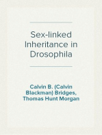 Sex-linked Inheritance in Drosophila