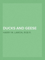 Ducks and Geese