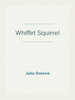 Whiffet Squirrel