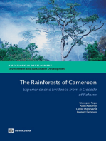 The Rainforest of Cameroon