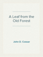 A Leaf from the Old Forest