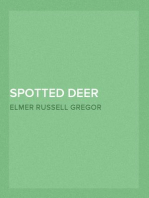 Spotted Deer