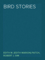 Bird Stories