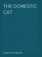 The Domestic Cat