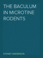 The Baculum in Microtine Rodents