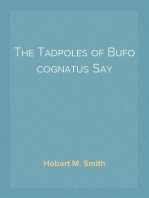 The Tadpoles of Bufo cognatus Say