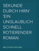 Sekunde durch Hirn
Ein unglaublich schnell rotierender Roman