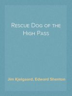 Rescue Dog of the High Pass