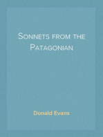 Sonnets from the Patagonian