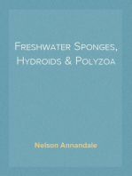 Freshwater Sponges, Hydroids & Polyzoa